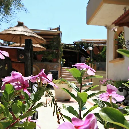 Paradise 2*